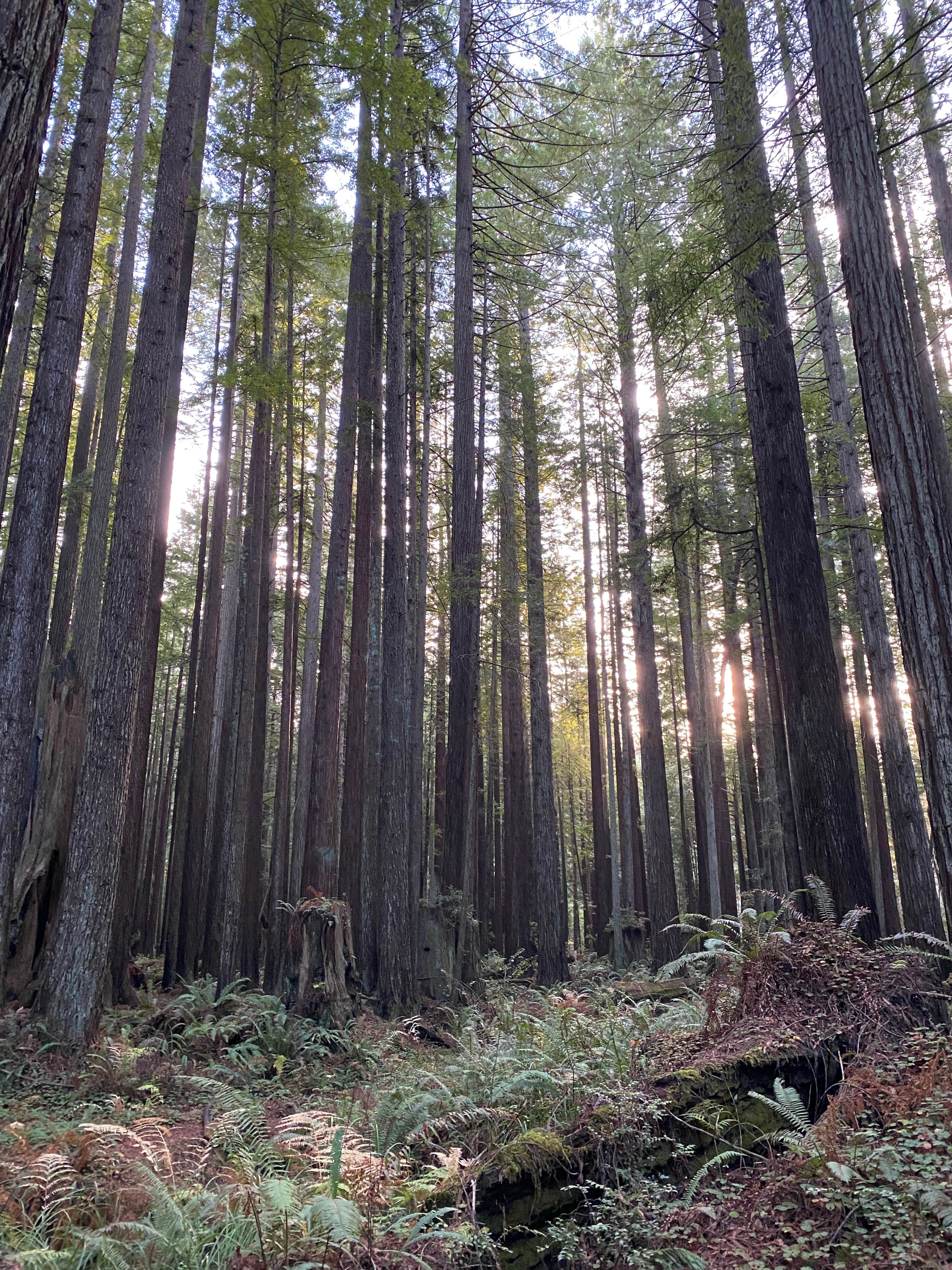 Camper submitted image from Florence Keller Regional Park - 1