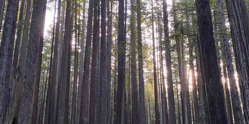 Camper submitted image from Florence Keller Regional Park