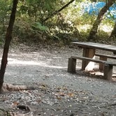Review photo of Pfeiffer Big Sur State Park Campground by Erik M., January 20, 2021