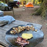 Review photo of Samuel P. Taylor State Park Campground by Mike C., February 7, 2020