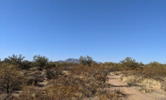 Camping near gOawayranchaz: McDowell Mountain Regional Park, Rio Verde, Arizona