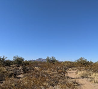 Camper-submitted photo from McDowell Mountain Regional Park