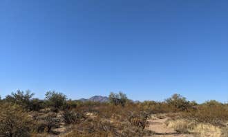 Camping near Box Bar: McDowell Mountain Regional Park, Rio Verde, Arizona