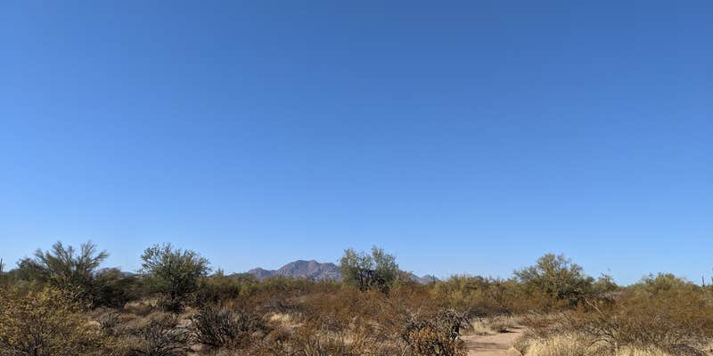 Camper submitted image from McDowell Mountain Regional Park