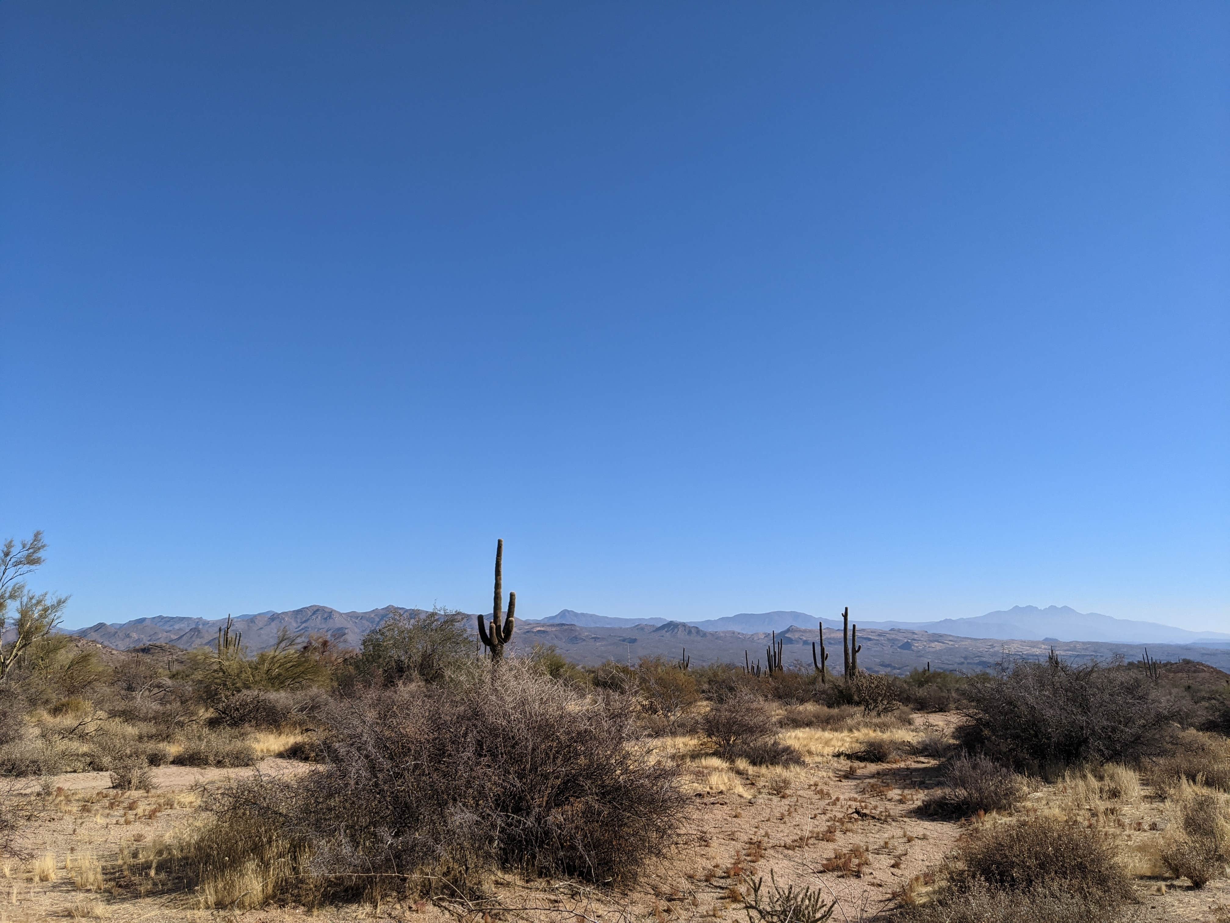 Camper-submitted photo at McDowell Mountain Regional Park near Paradise Valley, AZ