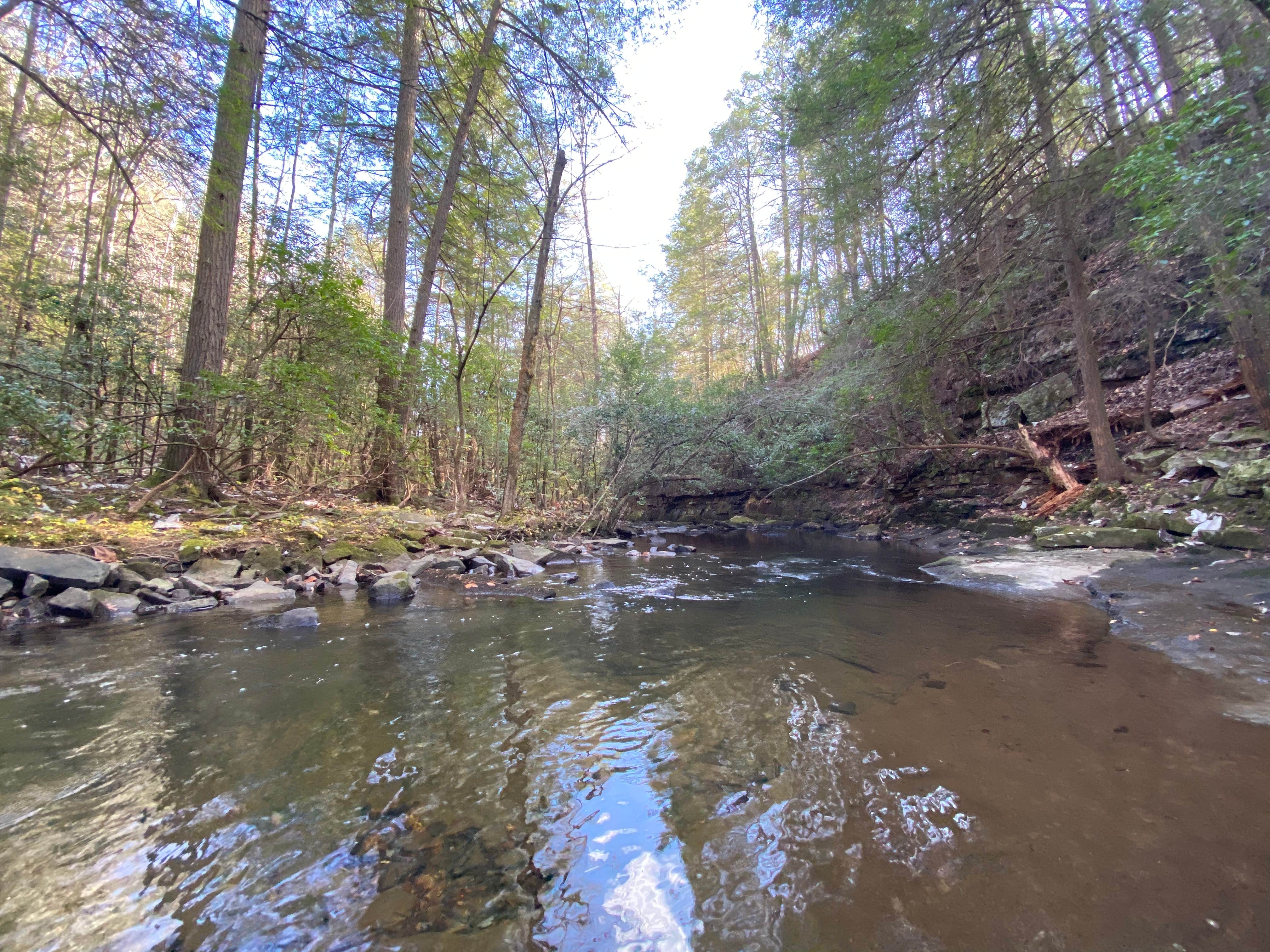 Camper-submitted photo at Foster Falls Campground near Gruetli-Laager, TN