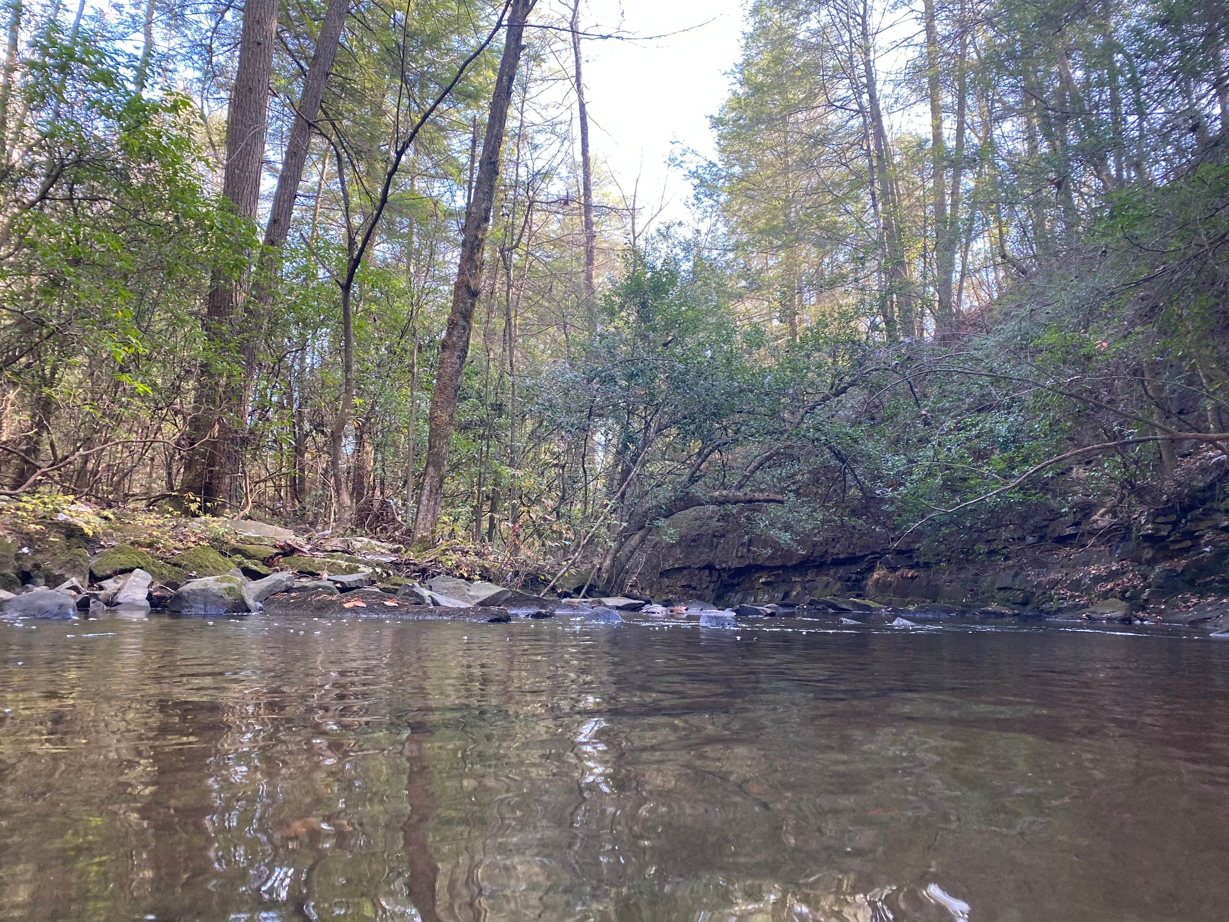 Camper-submitted photo at Foster Falls Campground near Gruetli-Laager, TN