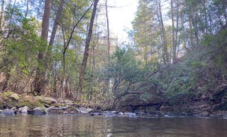 Camping near Fireside Camp + Lodge: Foster Falls Campground, Sequatchie, Tennessee