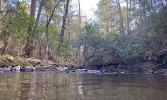 Camping near Camp Chet: Foster Falls Campground, Sequatchie, Tennessee