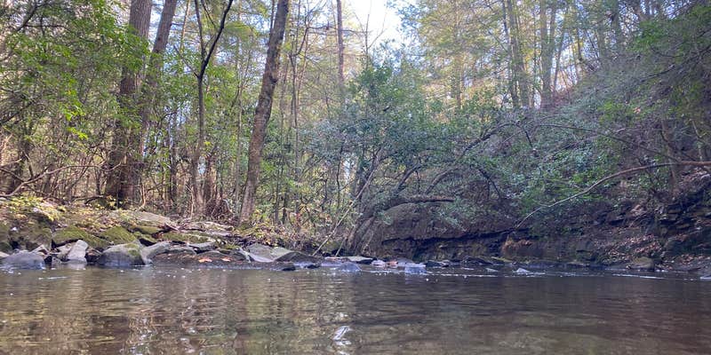 Camper submitted image from Foster Falls Campground