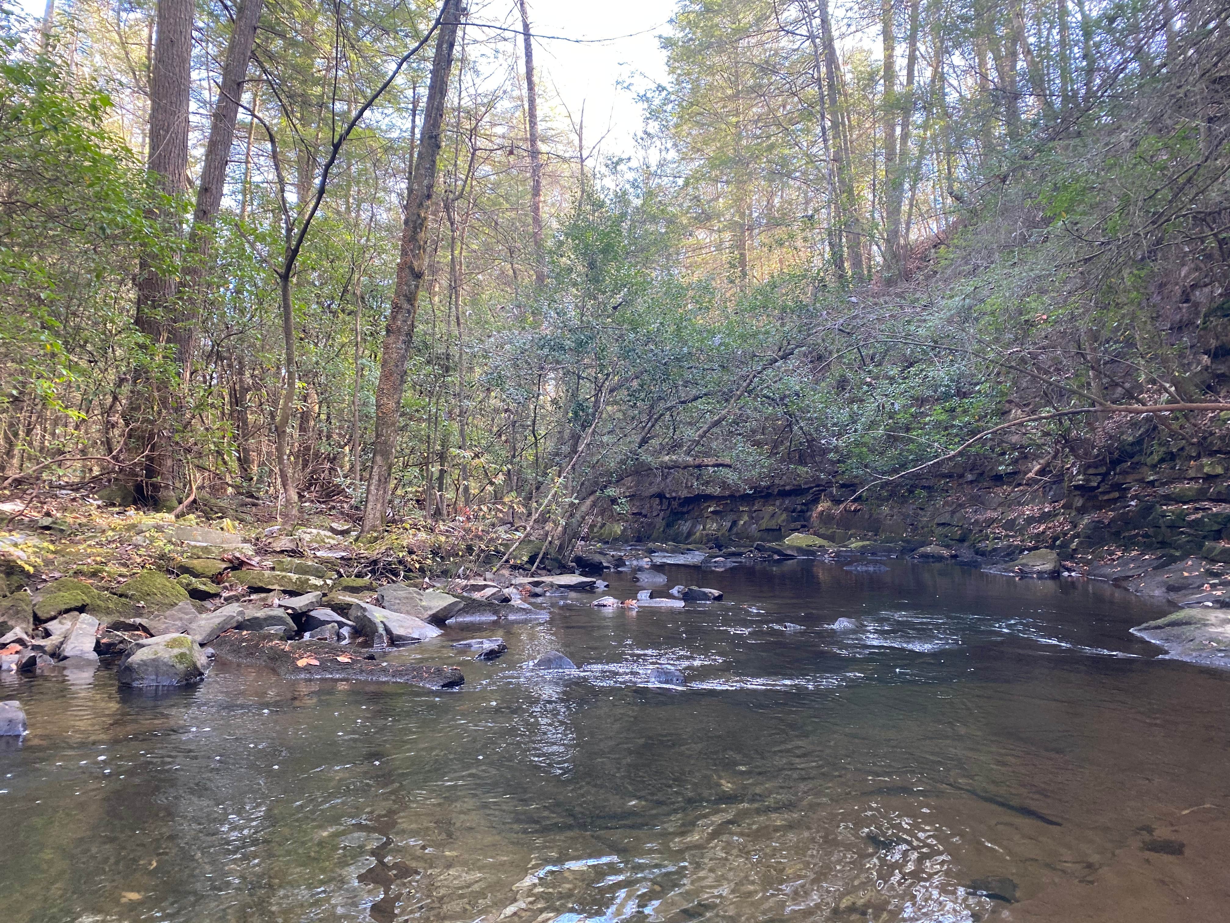 Camper-submitted photo at Foster Falls Campground near Gruetli-Laager, TN