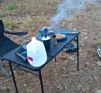 Camper-submitted photo from Neches Bluff Overlook Campground