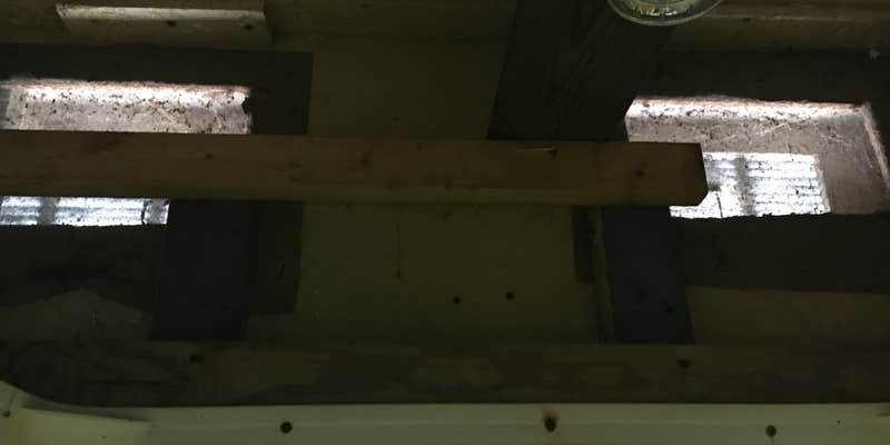 Camper submitted image from Bowdish Lake Camping Area