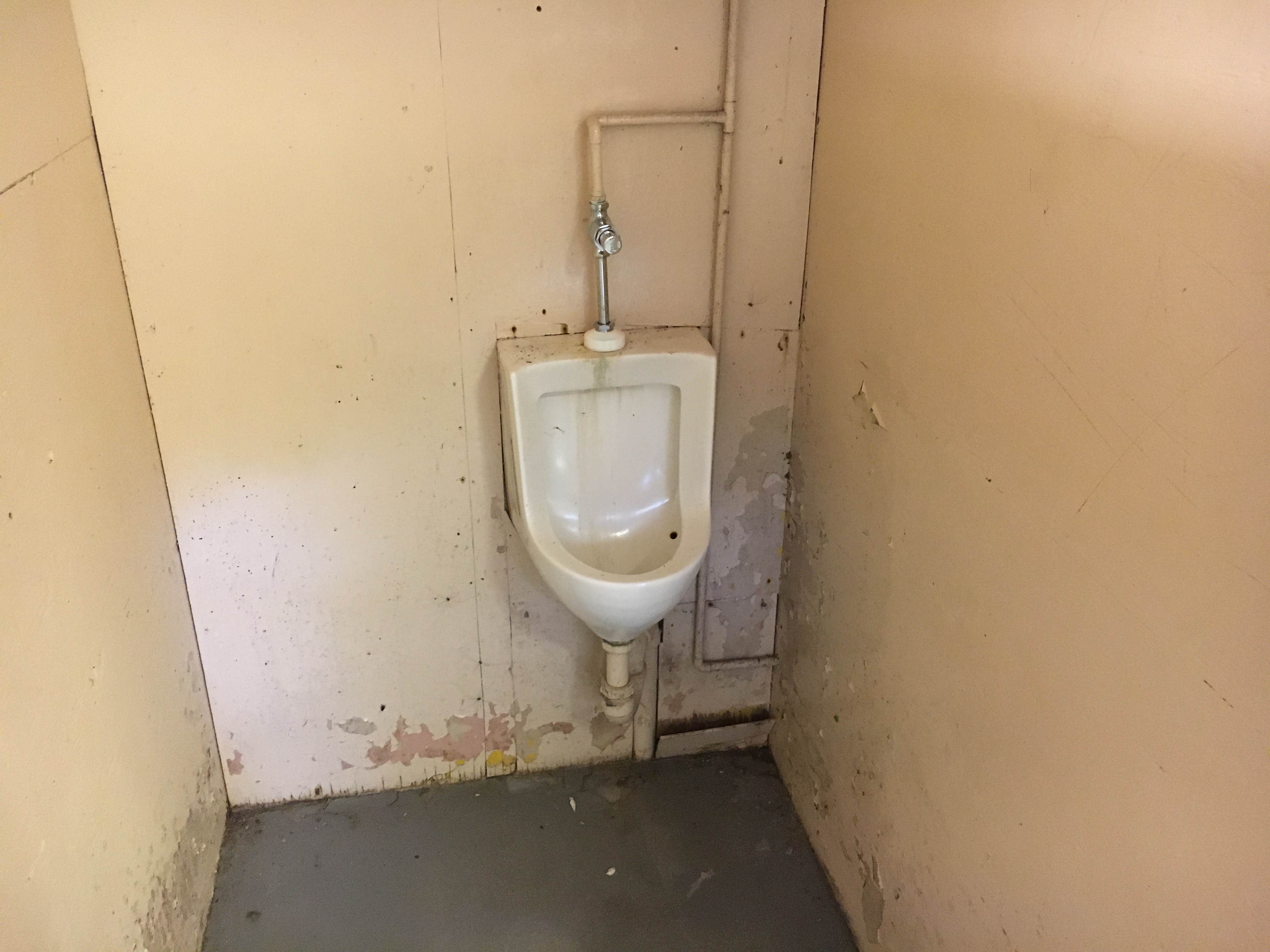 Camper-submitted photo at Bowdish Lake Camping Area near Millville, MA