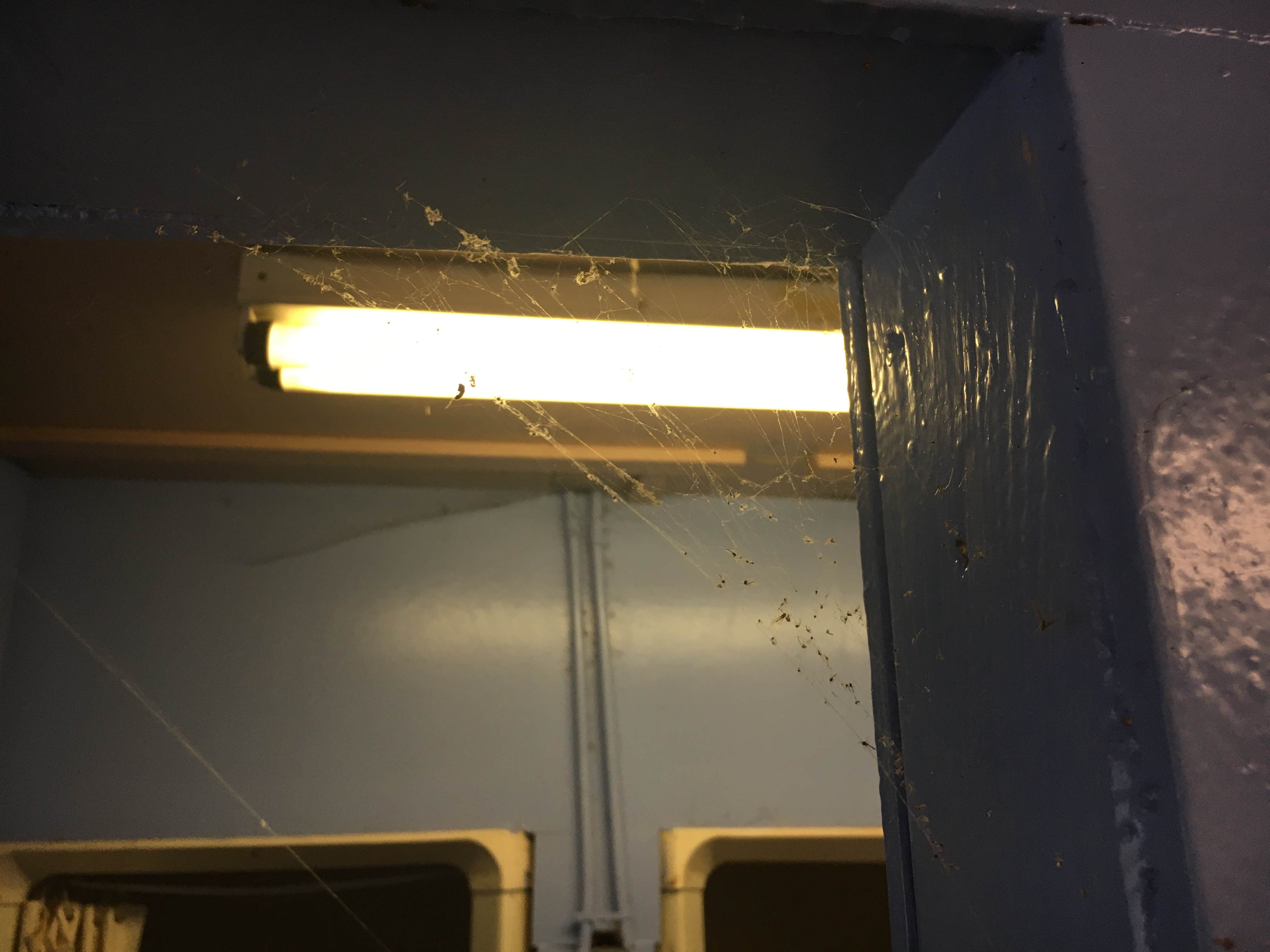 Camper-submitted photo at Bowdish Lake Camping Area near Millville, MA