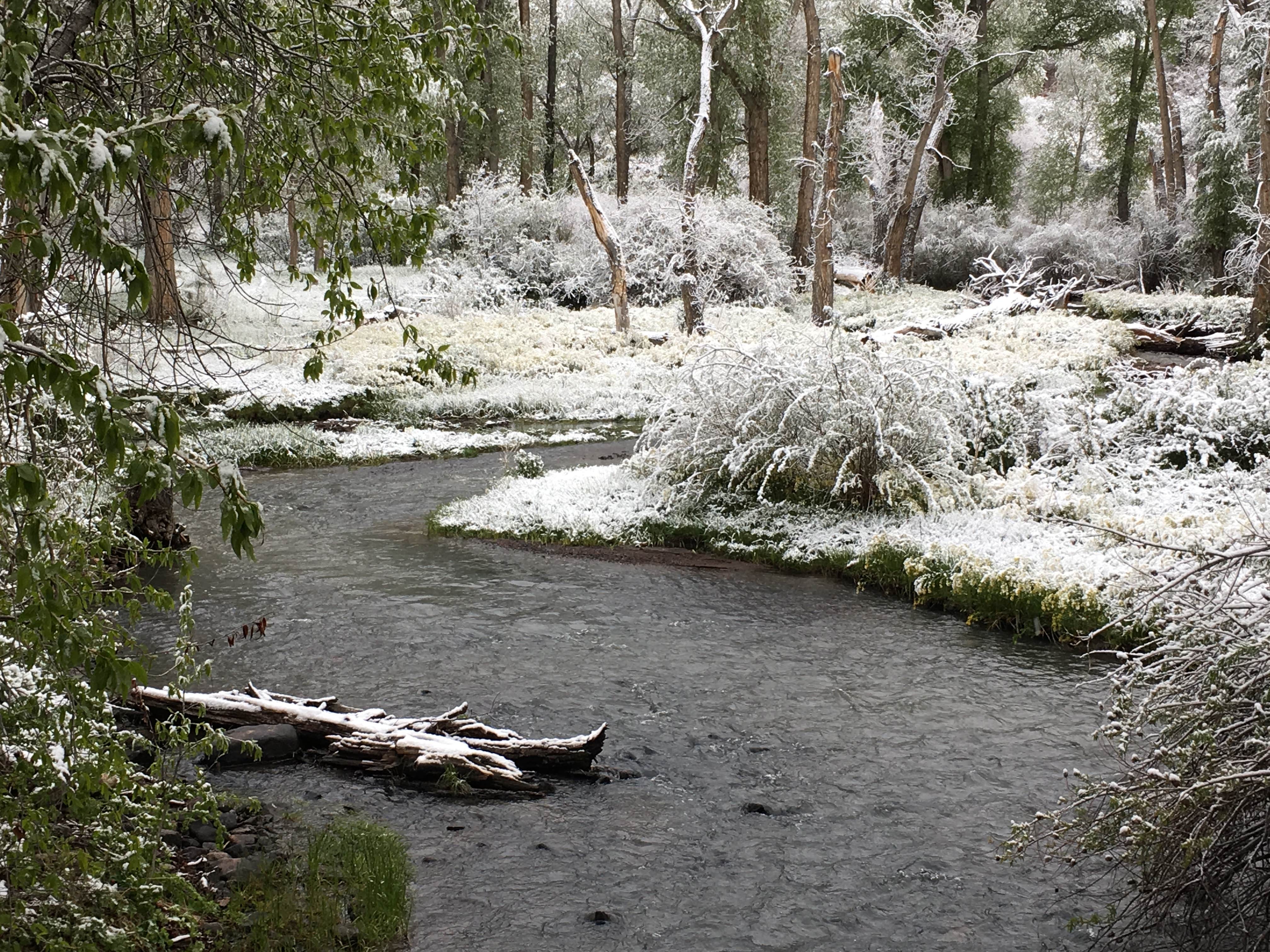 Camper-submitted photo at Tolby Campground — Cimarron Canyon State Park near Ranchos de Taos, NM