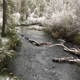 Tolby - Cimarron Canyon State Park