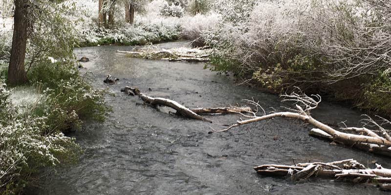 Camper submitted image from Tolby Campground — Cimarron Canyon State Park