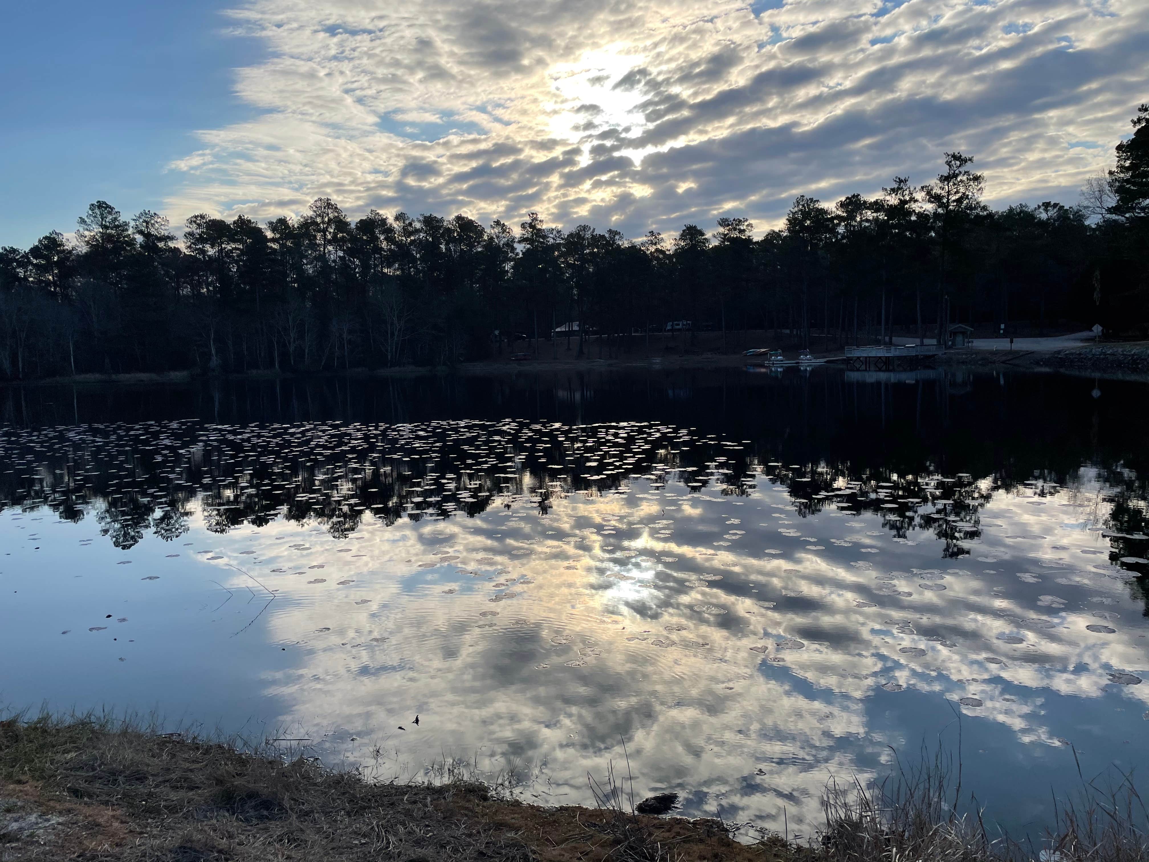 Camper-submitted photo at Magnolia Springs State Park Campground near Aiken, SC