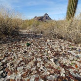 Review photo of Ajo BLM Dispersed by Laura M., January 21, 2021