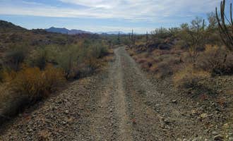 Camping near Hickiwan Trails Tribal RV Park: Ajo BLM Dispersed, Ajo, Arizona