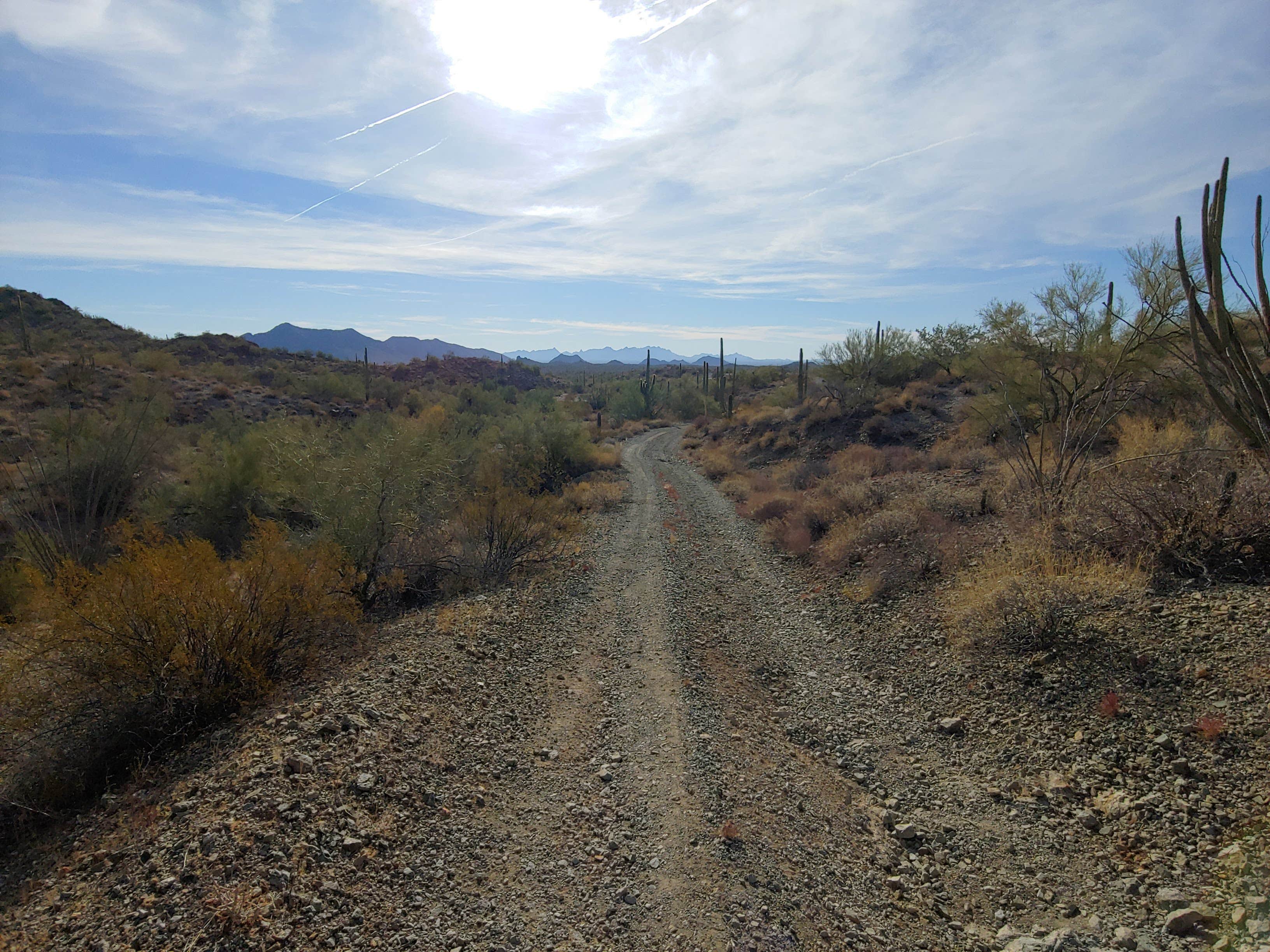 Camper submitted image from Ajo BLM Dispersed - 1