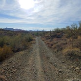 Review photo of Ajo BLM Dispersed by Laura M., January 21, 2021