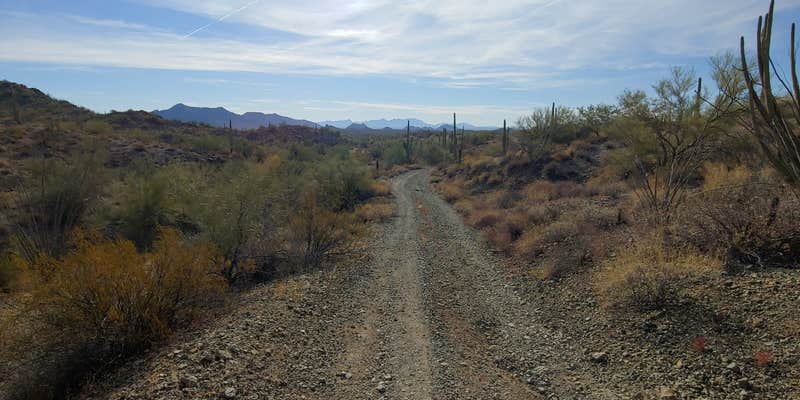 Camper submitted image from Ajo BLM Dispersed