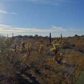 Review photo of Ajo BLM Dispersed by Laura M., January 21, 2021