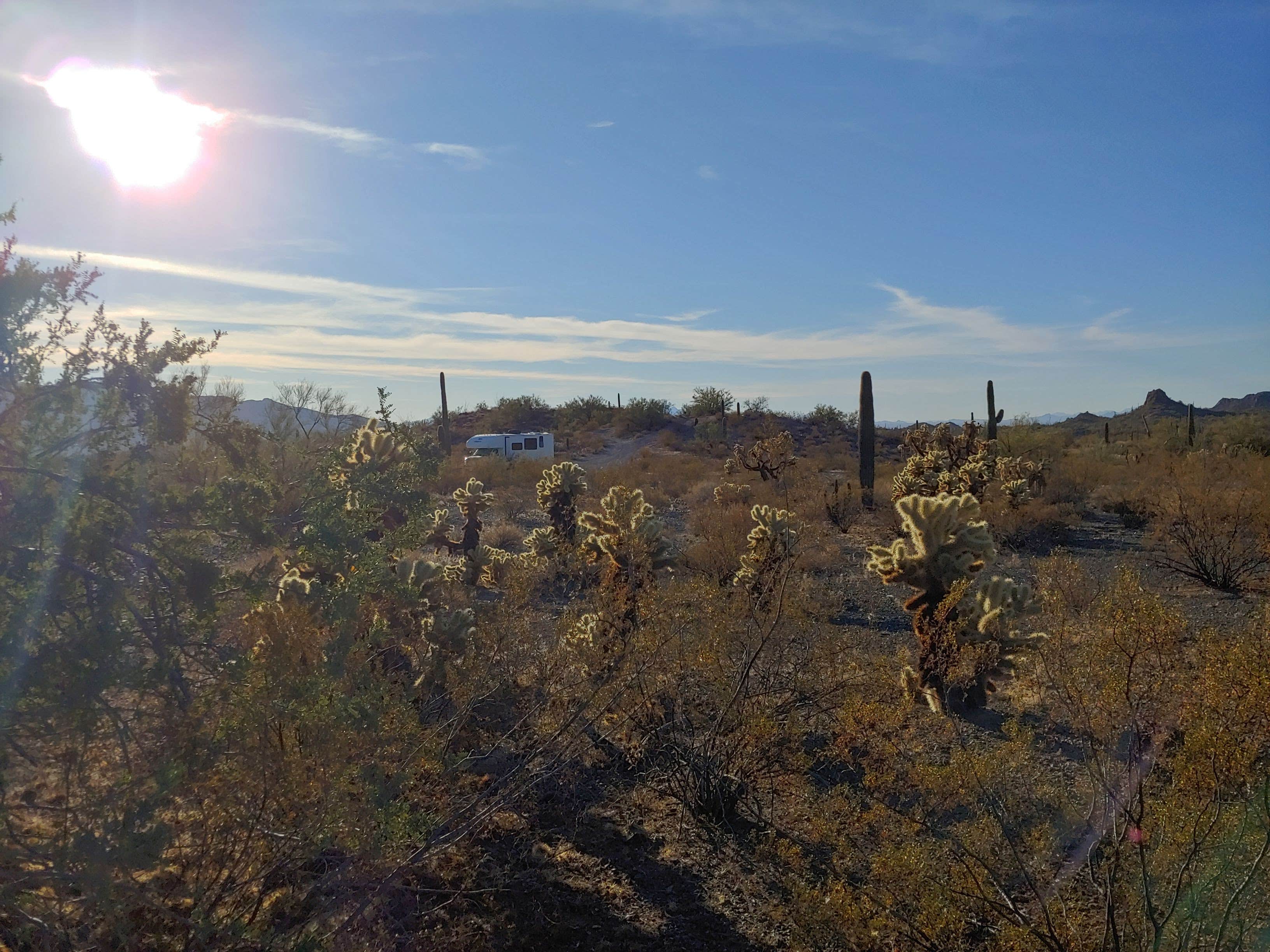 Camper submitted image from Ajo BLM Dispersed - 2