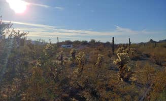 Laura M.'s photo of a dispersed camping area at Ajo BLM Dispersed near Dateland, AZ