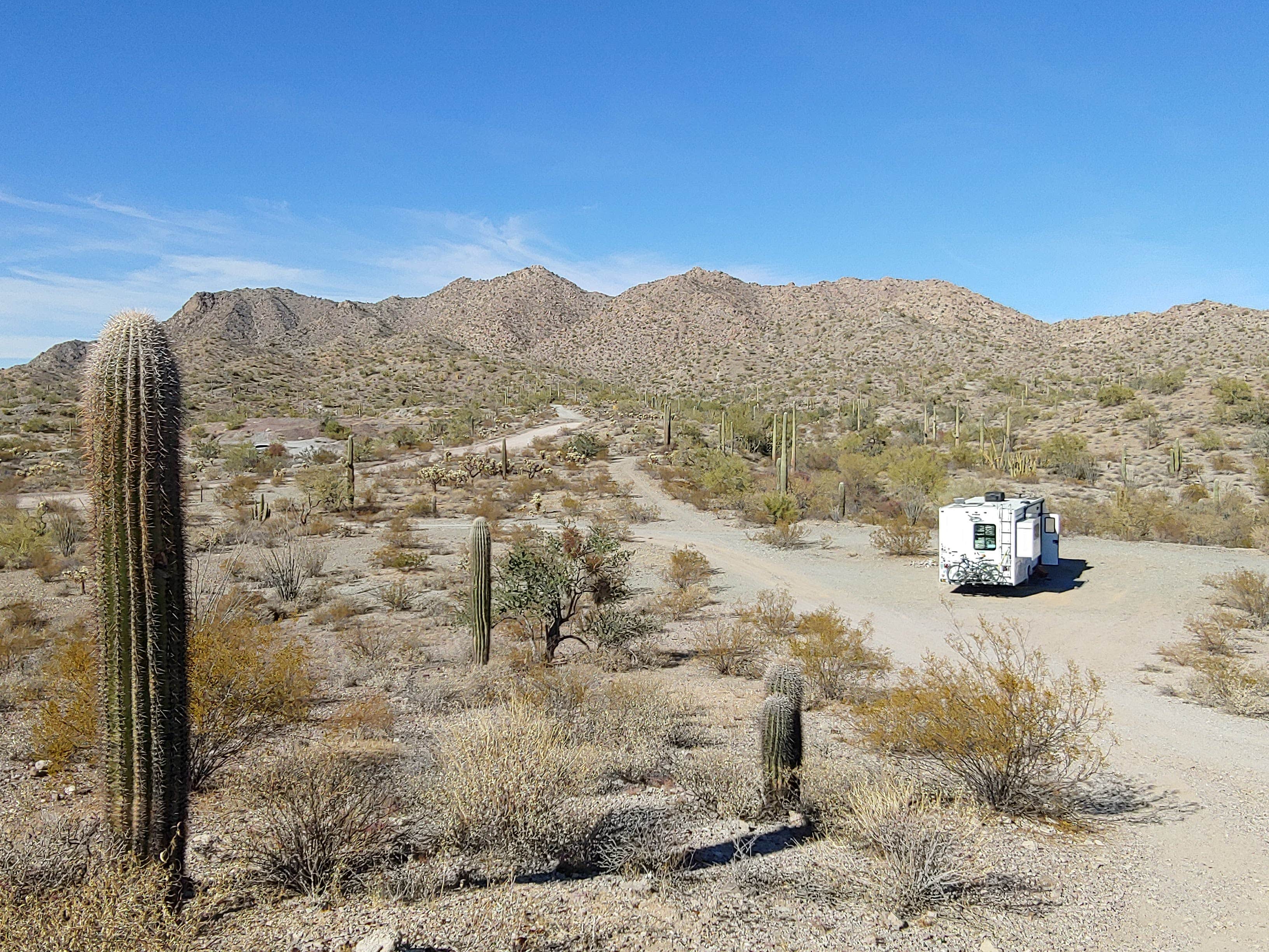 Camper submitted image from Ajo BLM Dispersed - 3