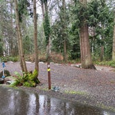 Review photo of Kayak Point County Park by Brooks S., January 21, 2021
