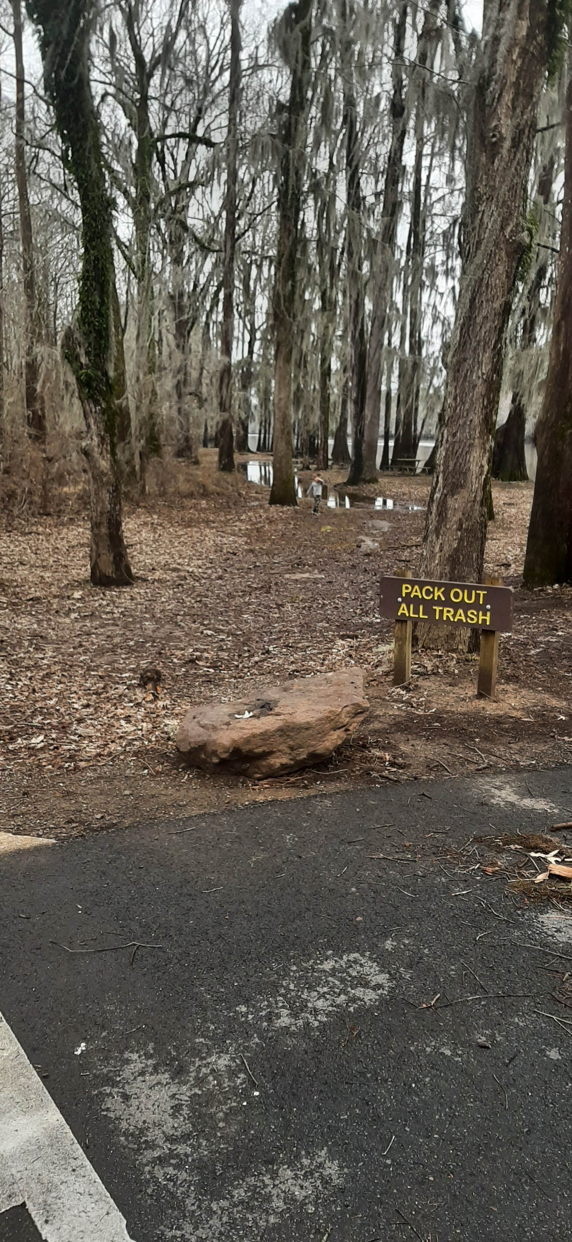 Camper-submitted photo at Caddo Lake State Park Campground near Shreveport, LA