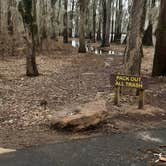 Review photo of Caddo Lake State Park Campground by Amie M., January 21, 2021