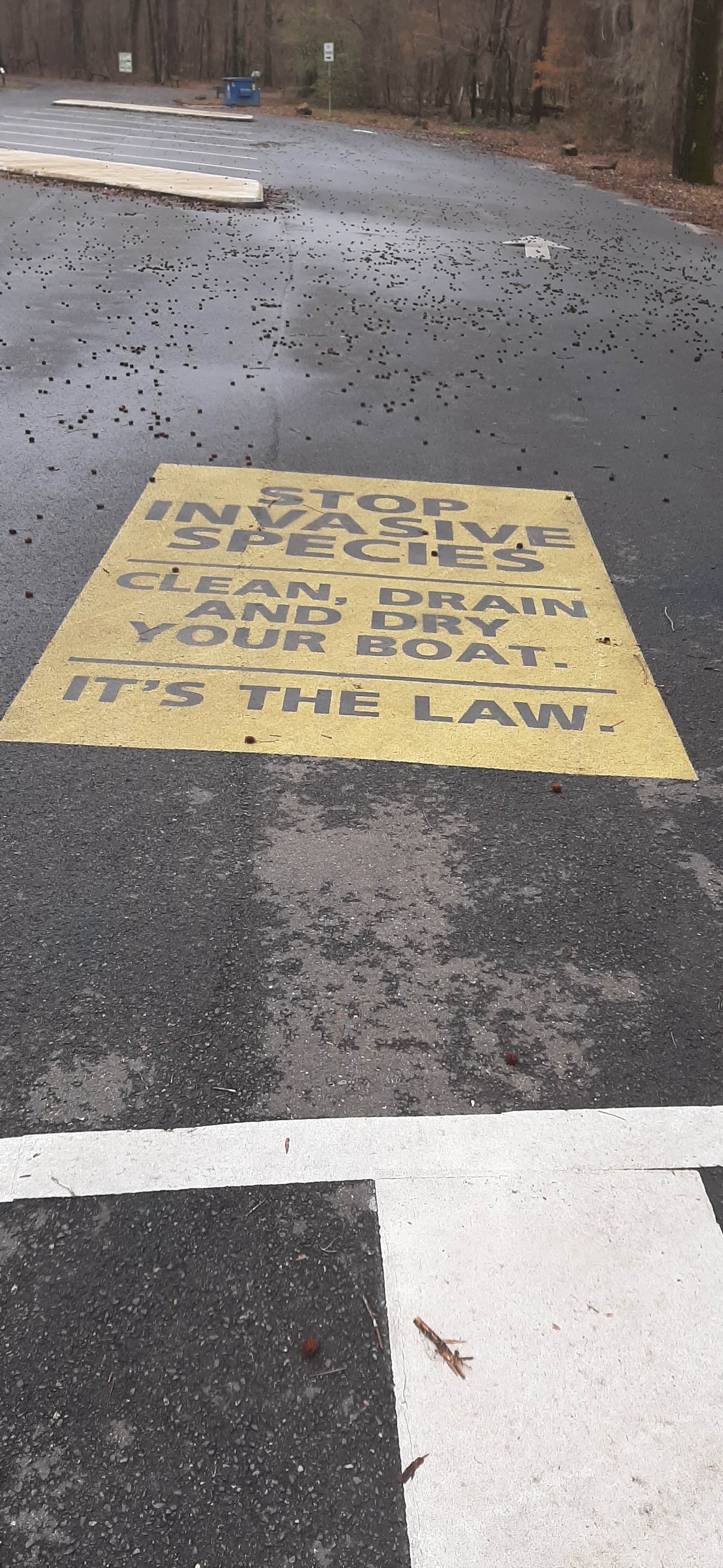 Camper-submitted photo at Caddo Lake State Park Campground near Shreveport, LA