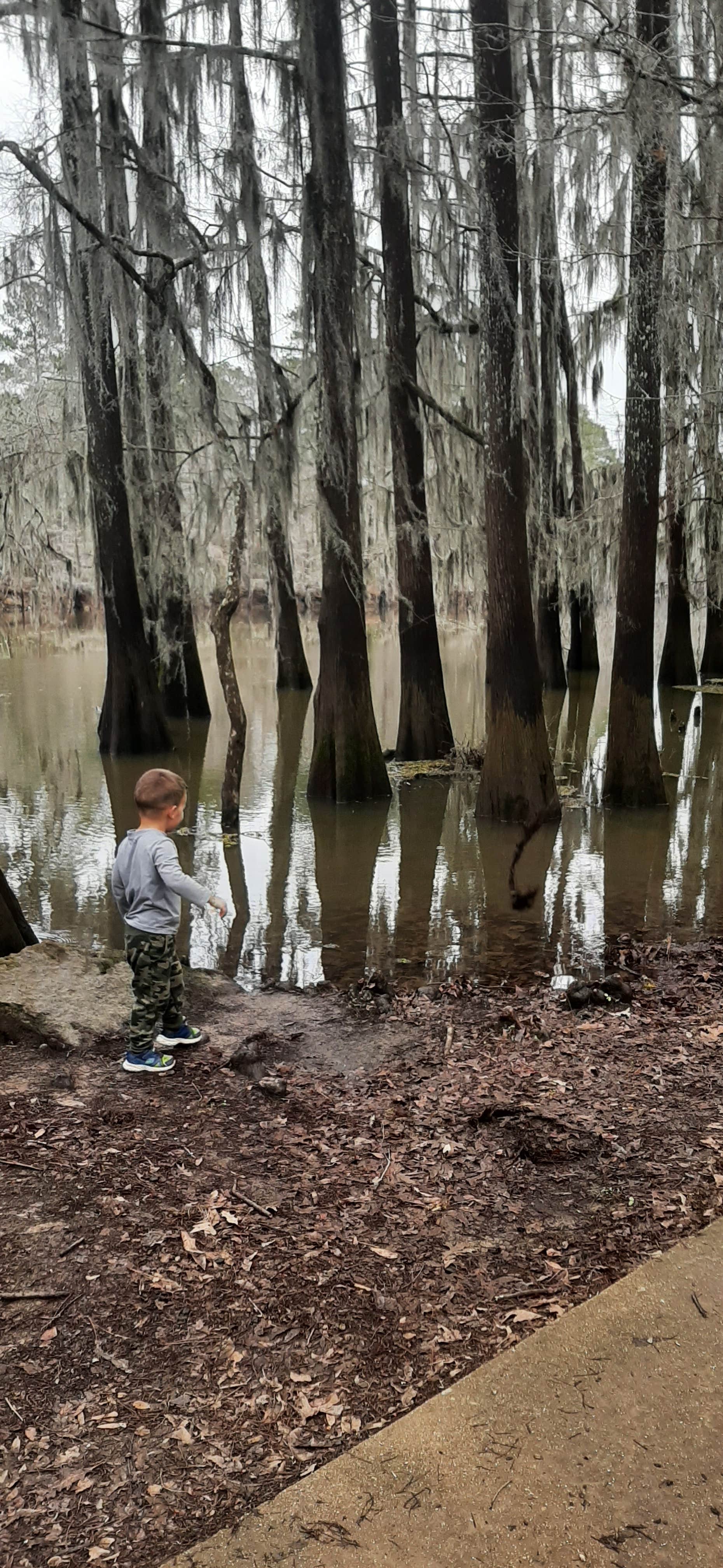 Camper-submitted photo at Caddo Lake State Park Campground near Shreveport, LA