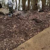 Review photo of Caddo Lake State Park Campground by Amie M., January 21, 2021