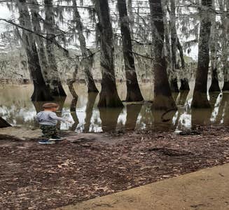 Camper-submitted photo from Caddo Lake State Park Campground