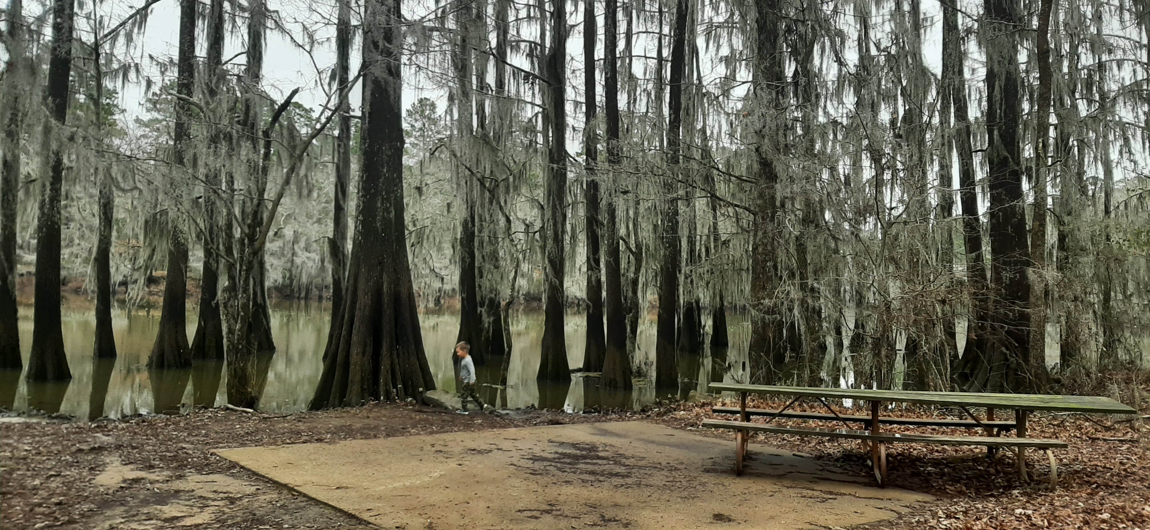Camper-submitted photo at Caddo Lake State Park Campground near Shreveport, LA