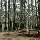 Review photo of Caddo Lake State Park Campground by Amie M., January 21, 2021