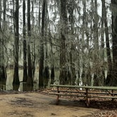 Review photo of Caddo Lake State Park by Amie M., January 21, 2021