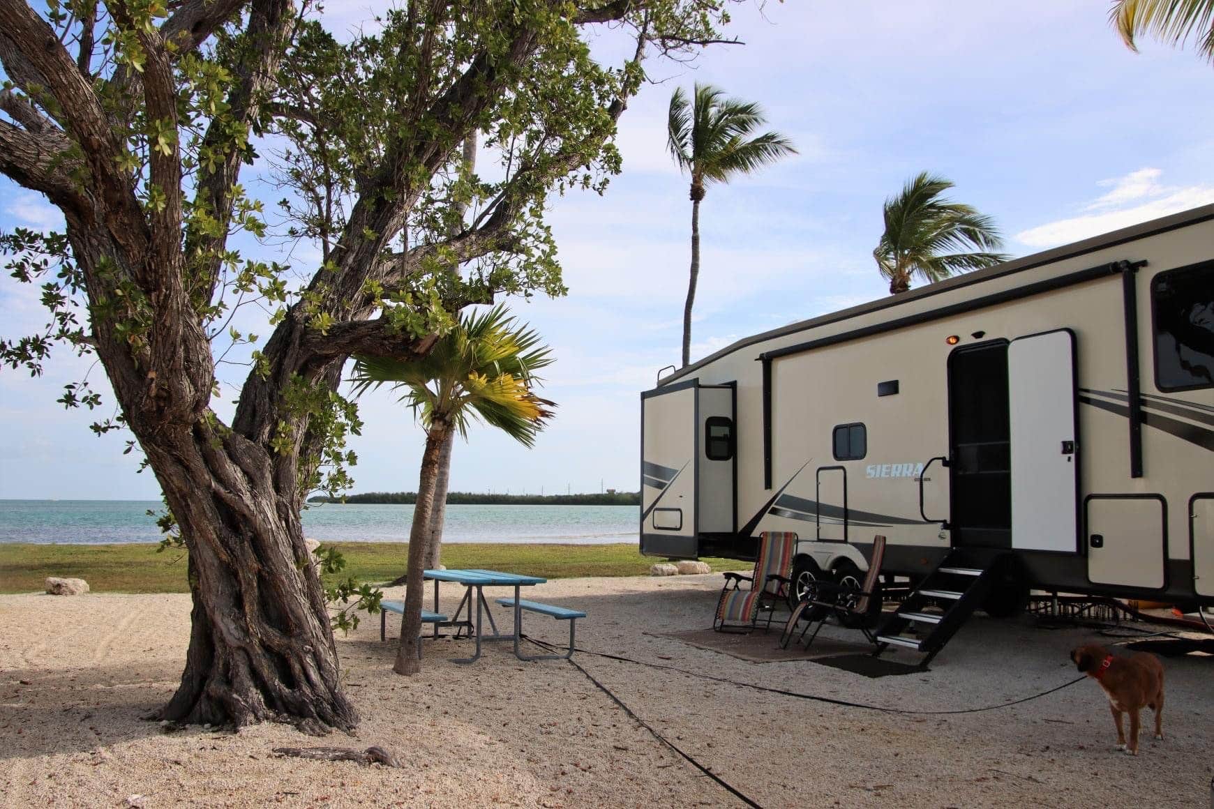 Darla's photo of camping with pets at Encore Sunshine Key near Big Pine Key, FL