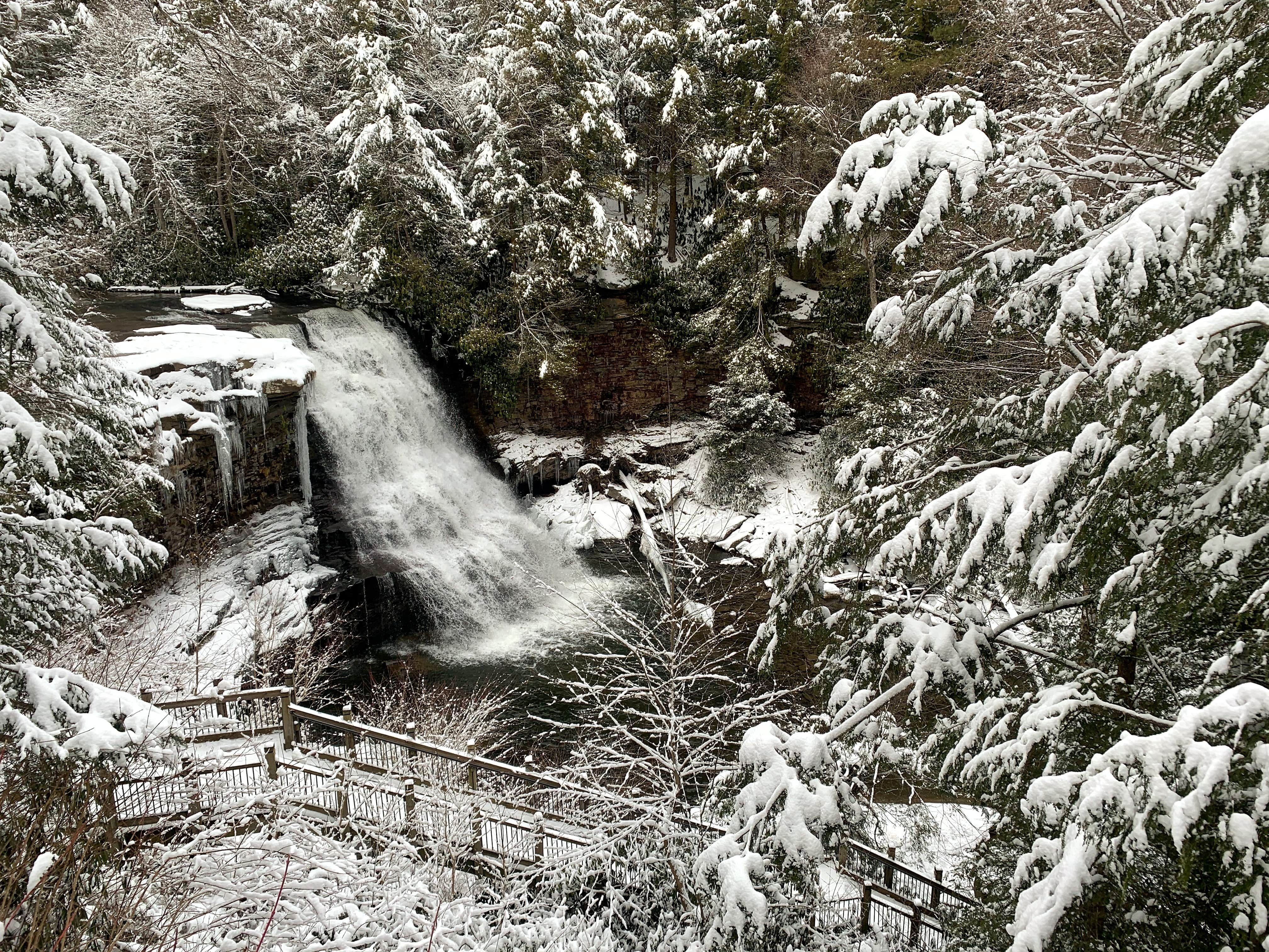 Camper-submitted photo at Swallow Falls State Park Campground near Grantsville, MD