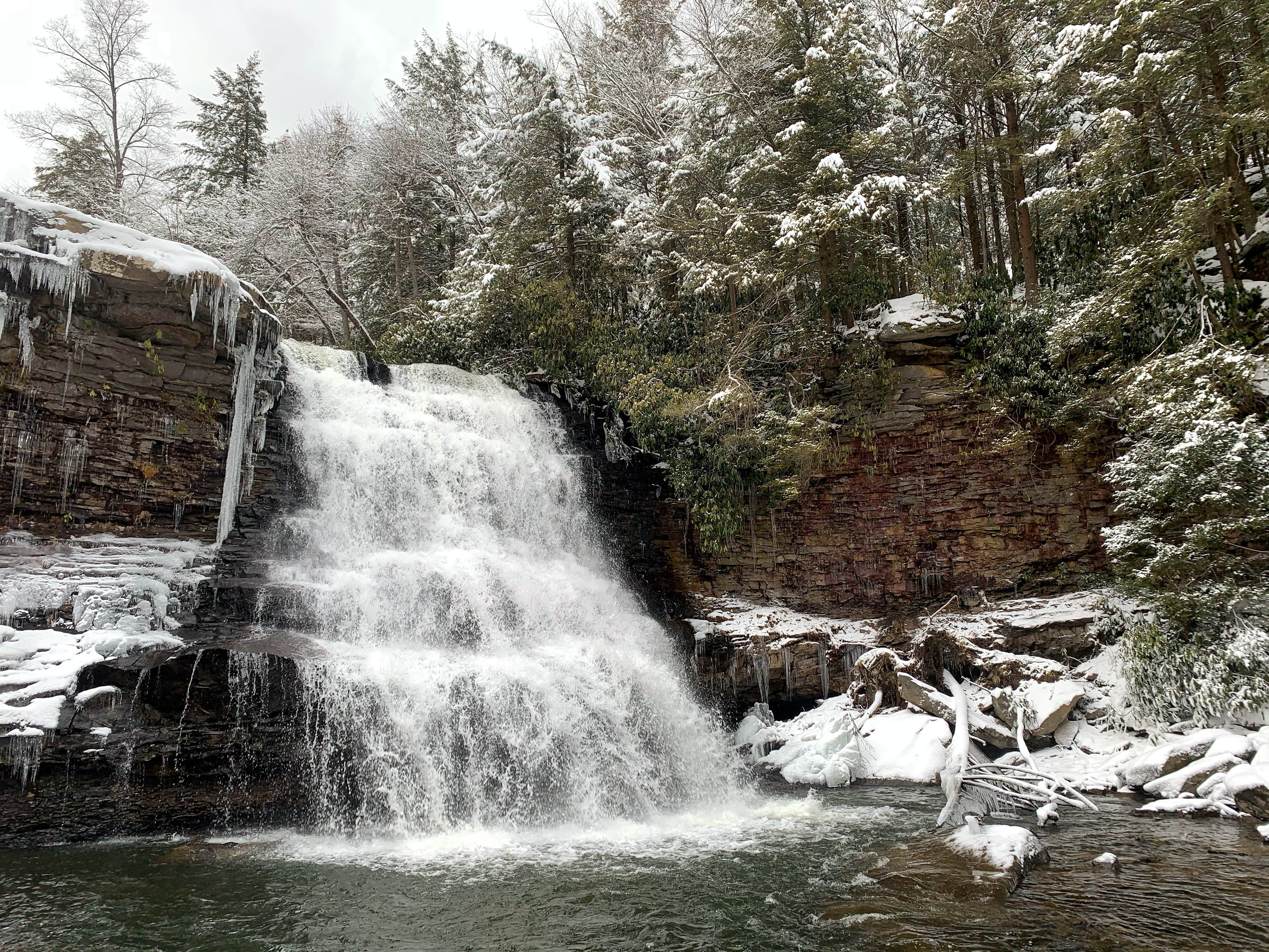 Camper-submitted photo at Swallow Falls State Park Campground near Grantsville, MD