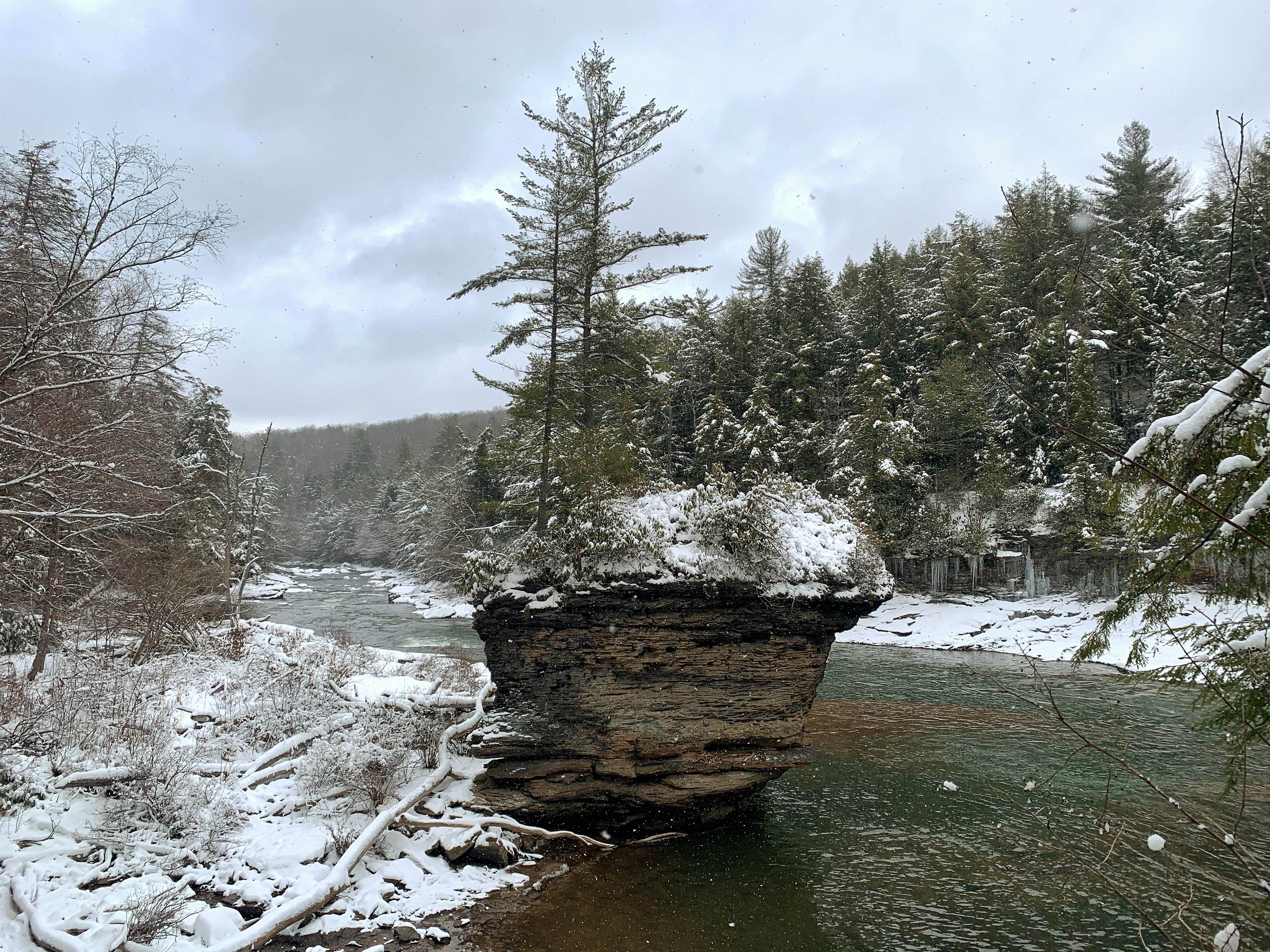 Camper-submitted photo at Swallow Falls State Park Campground near Grantsville, MD