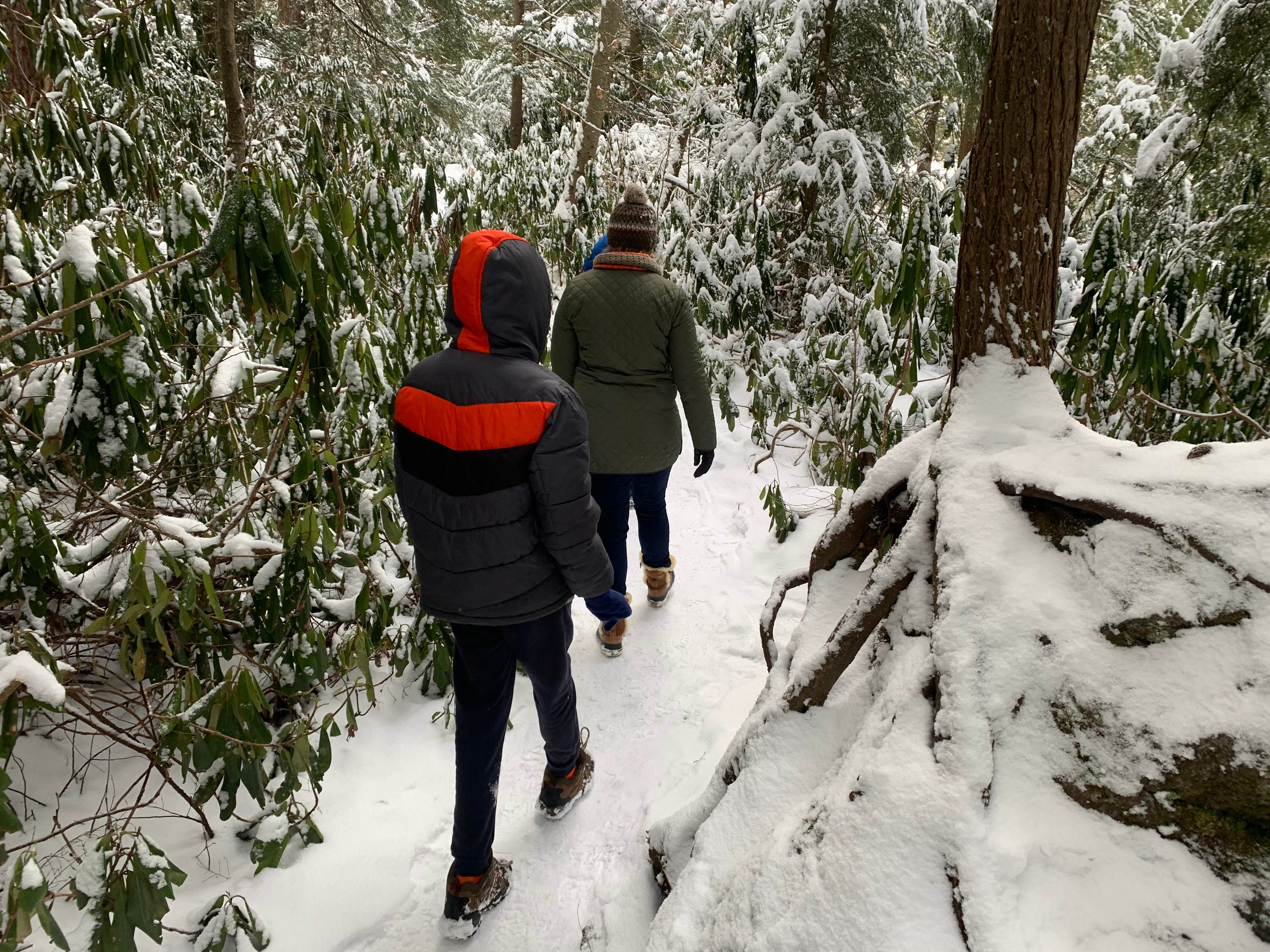 Camper-submitted photo at Swallow Falls State Park Campground near Grantsville, MD