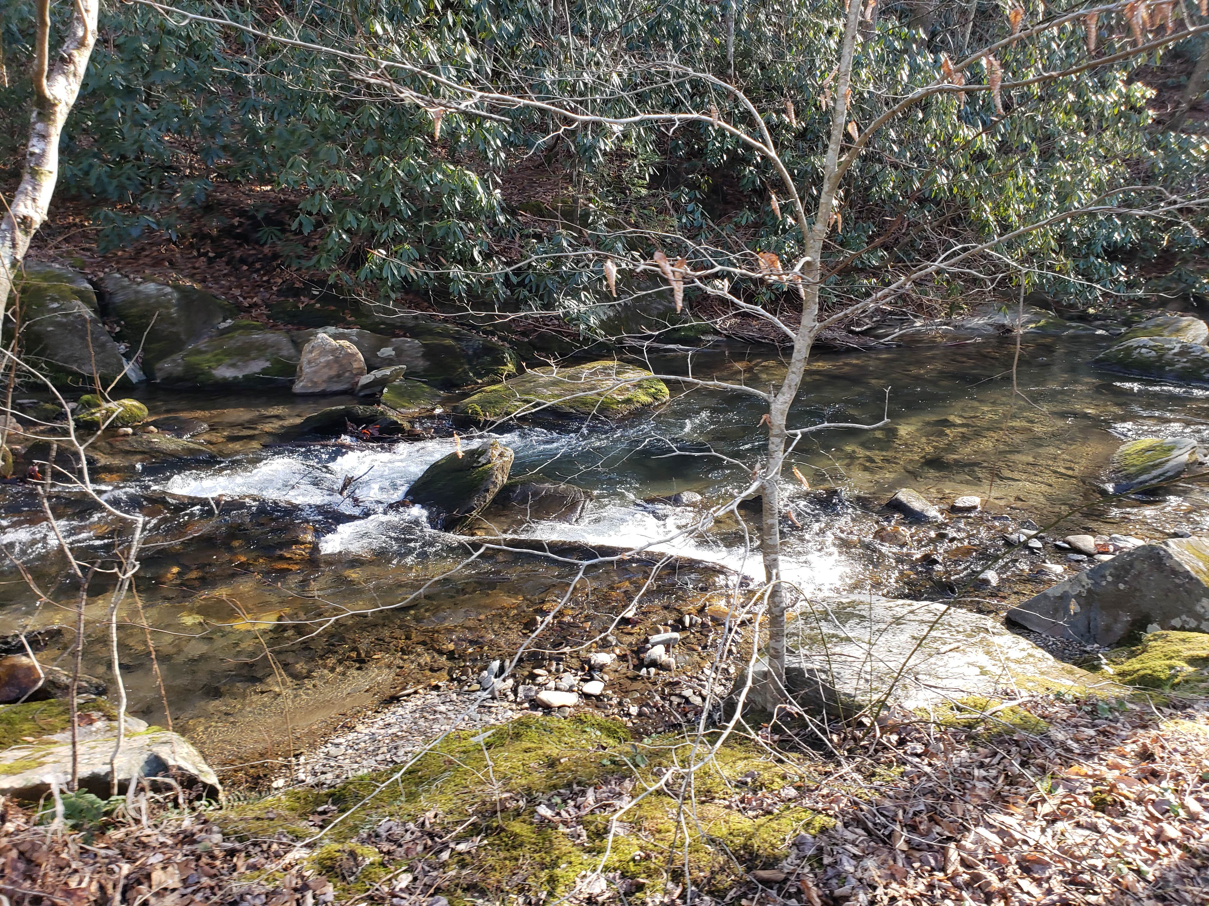 Water