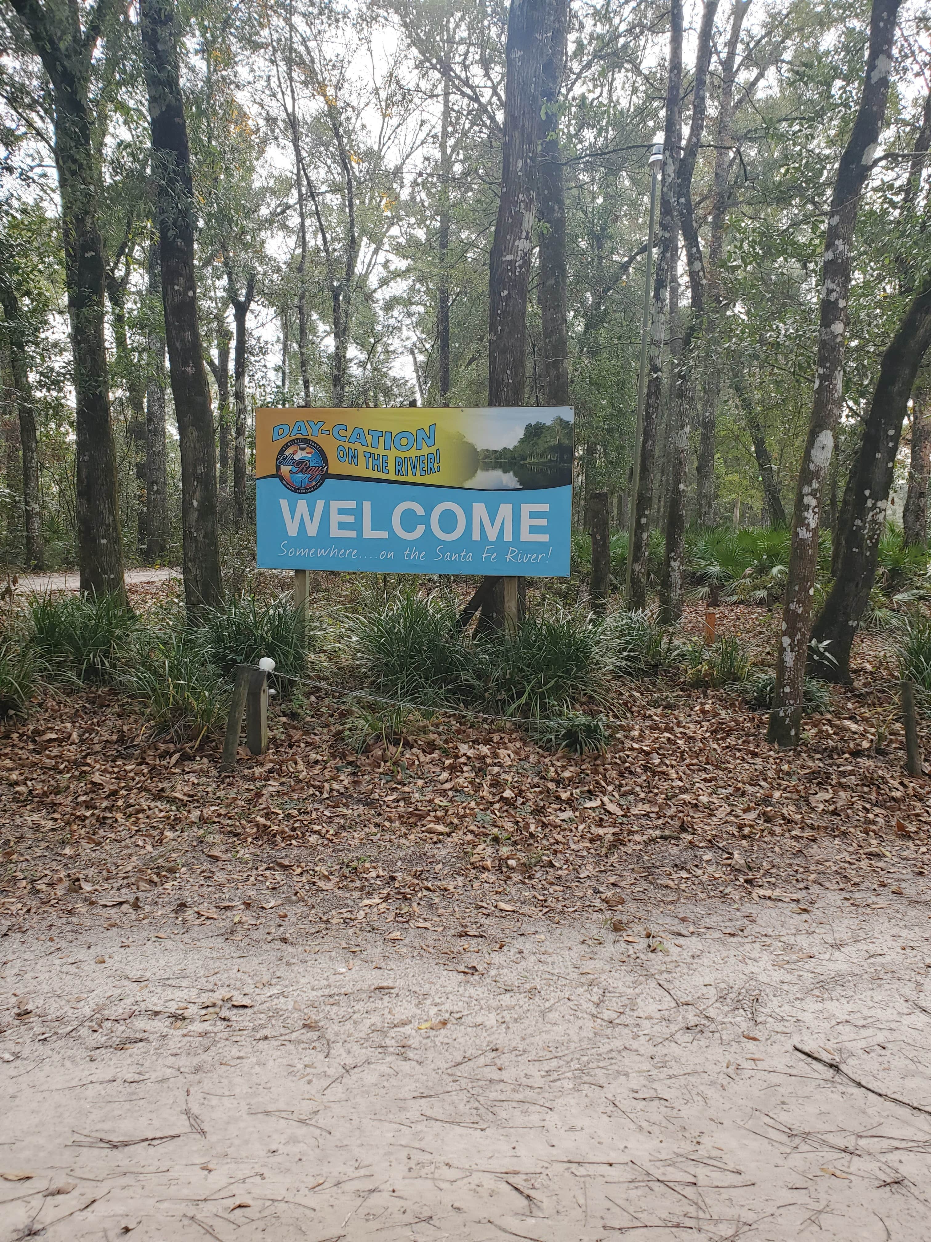 Camper submitted image from Ellie Ray's RV Resort & Lounge - 3