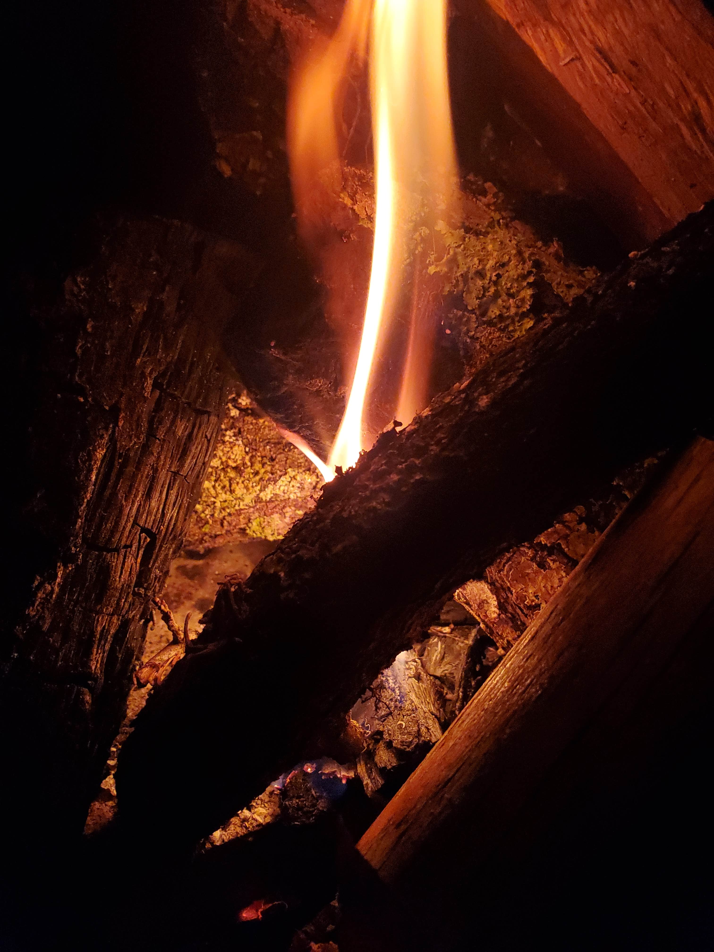 Camper-submitted photo at Ellie Ray's RV Resort & Lounge near Fort White, FL